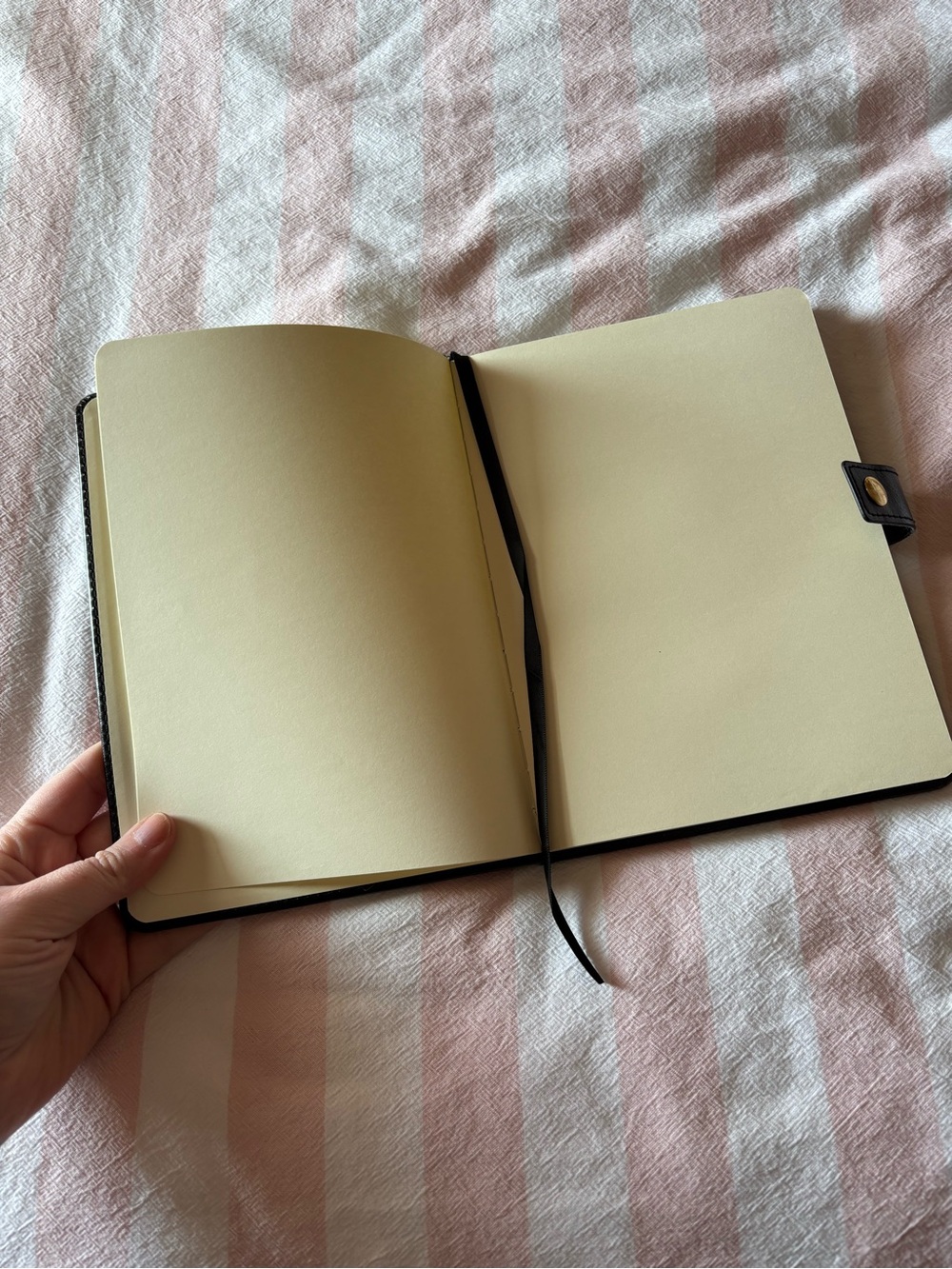 Taylor Swift Fearless Notebook - Picture 3 of 6